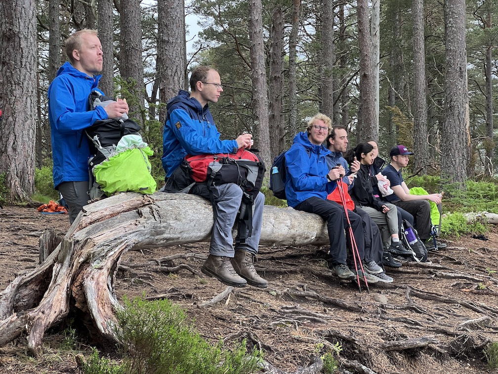Berkshire Walkers
