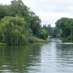 View of River Thames looking back as we head towards Moulsford