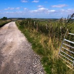 Blue Sky on the Dorset-Wiltshire boarder