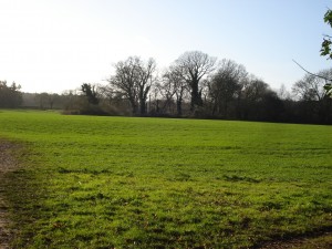 View looking towards Upper Hailey Wood