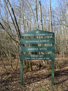 Heading south from Wokingham took us through this forest