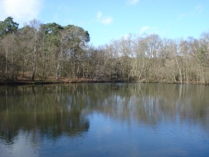 Our lunch spot was had by Heath Pond