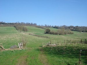 Views from the North Downs Way