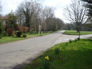 Cockpole Green. Picture taken during my pre-walk (note the daffodils)