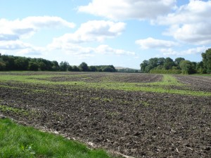 Looking out at the South Oxfordshire countryside