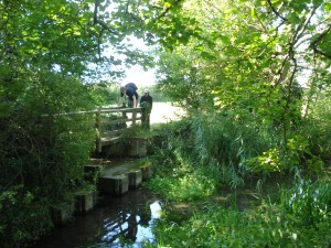 Clambering through at near South Moreton 