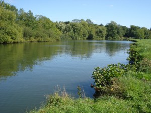 The River Thames between Mouslford and Goring 