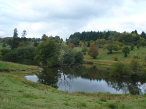 Hamstead Park