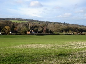 View heading towards Tidmarsh