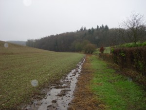 Heading towards Heath Wood. We would take to this path on both walks
