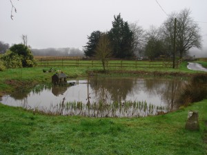 Pond, complete with Duck House at Rotten Row