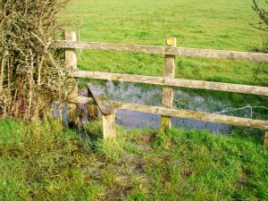A little waterlogged in places