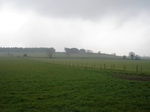 The mist is starting to lift