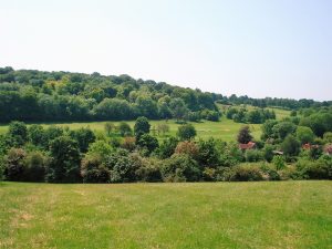 The Harpsden Valley