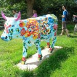 Cow in a field